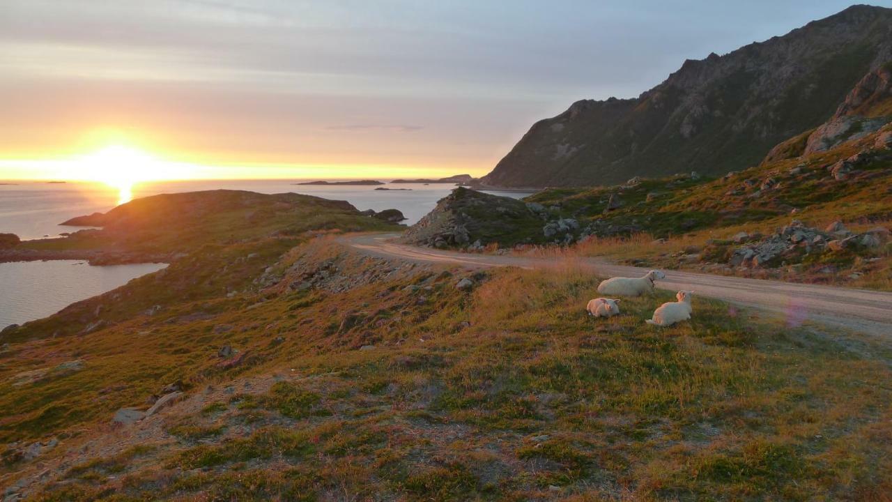 Lovely 3 Rooms Apartment For Holiday In Nyksund Eksteriør billede